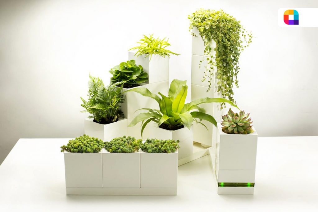 گلدان هوشمند برای گیاهان آپارتمانی