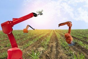 هوش مصنوعی و کاربردهای آن در کشاورزی