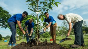 آبیاری هوشمند درختان و گیاهان شهری