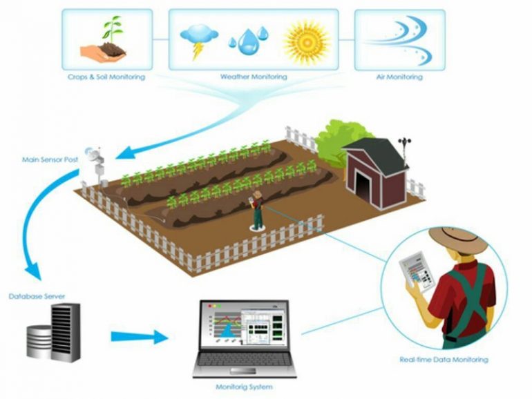 اینترنت اشیا در کشاورزی