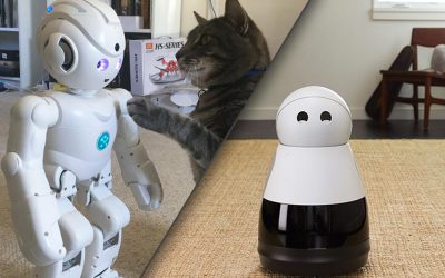 Domestic-robots