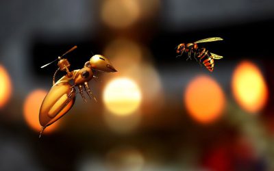 bees-and-iot